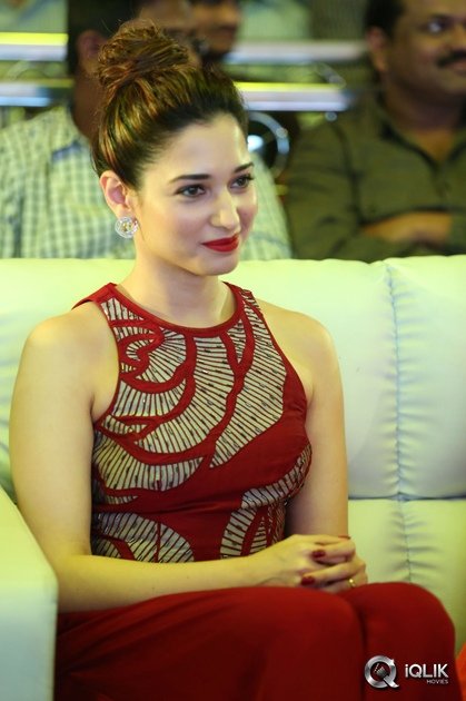 Tamannaah-at-Bengal-Tiger-Movie-Triple-Platinum-Disc-Function
